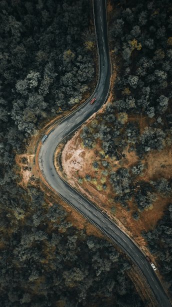 雨林公路