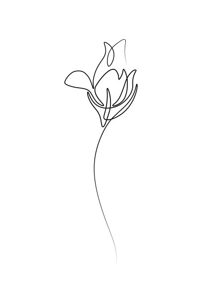 花卉图案1