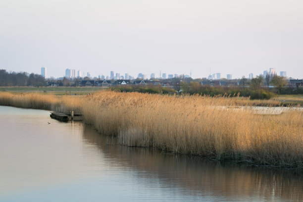 城市湿地