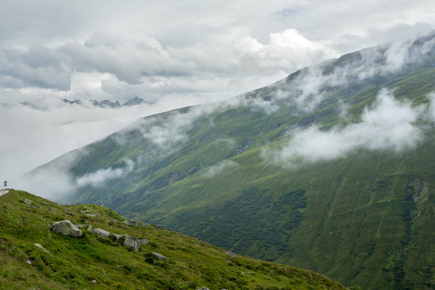 瑞士雪山草地