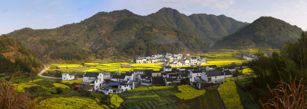 婺源油菜花风景