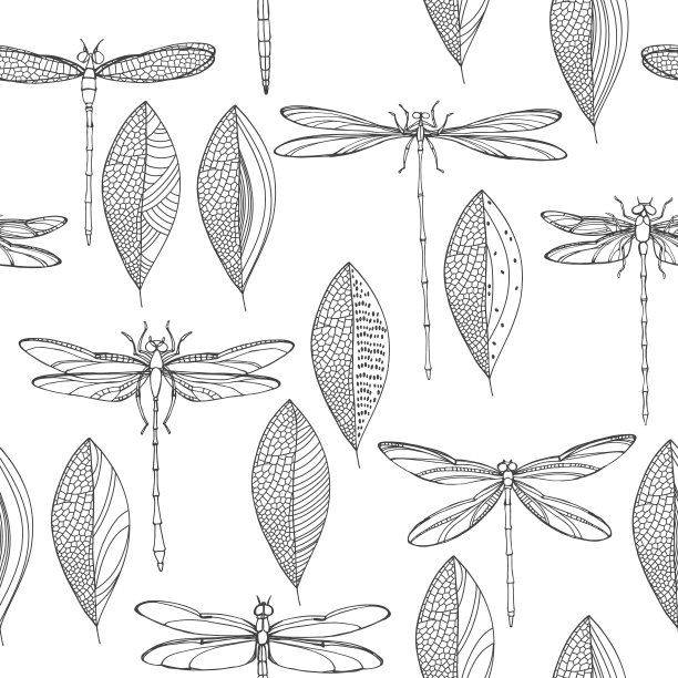 抽象蜻蜓图案