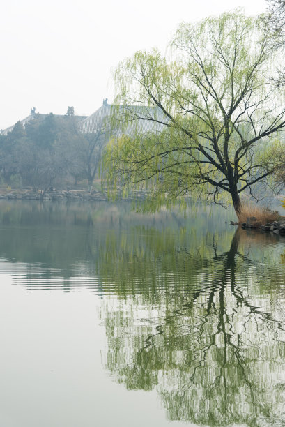 北京大学湖畔