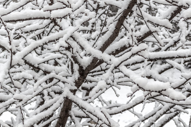 小雪清爽