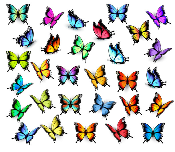 彩色蝴蝶设计矢量素材