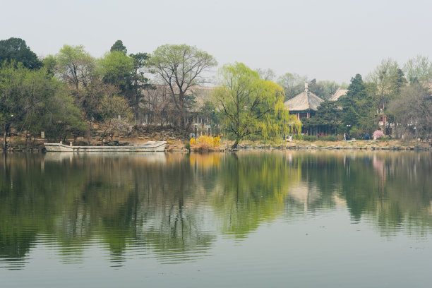 北京大学湖畔