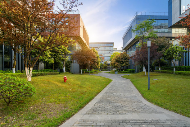 重庆大学