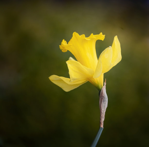 白蓝色手捧花