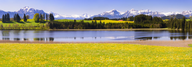 乡间花海美景