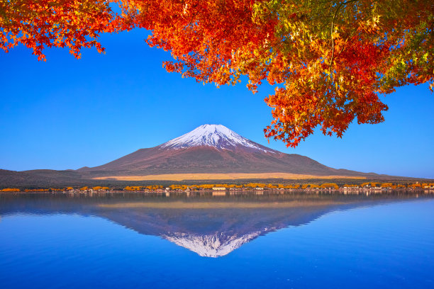 美丽的富士山