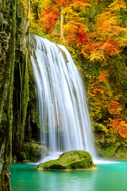 山林泉水