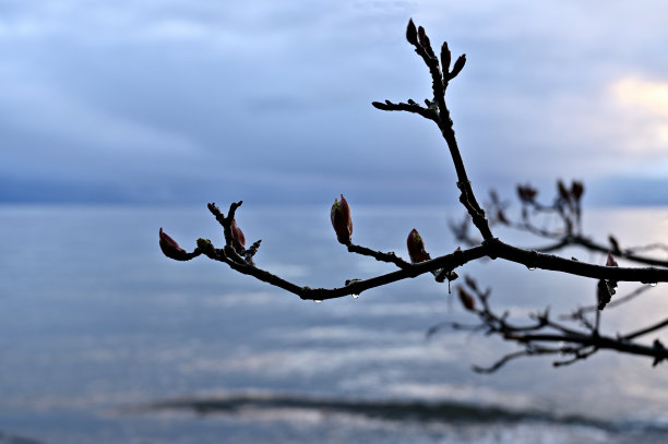 户外,红色,湿