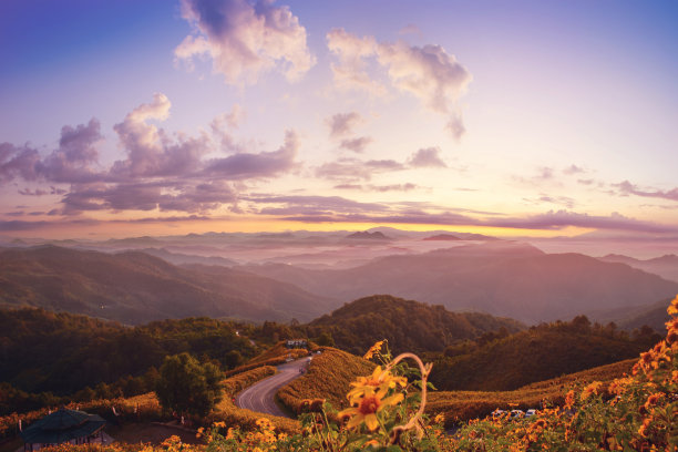 向日葵山