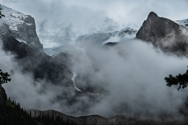 森林大自然美景4k