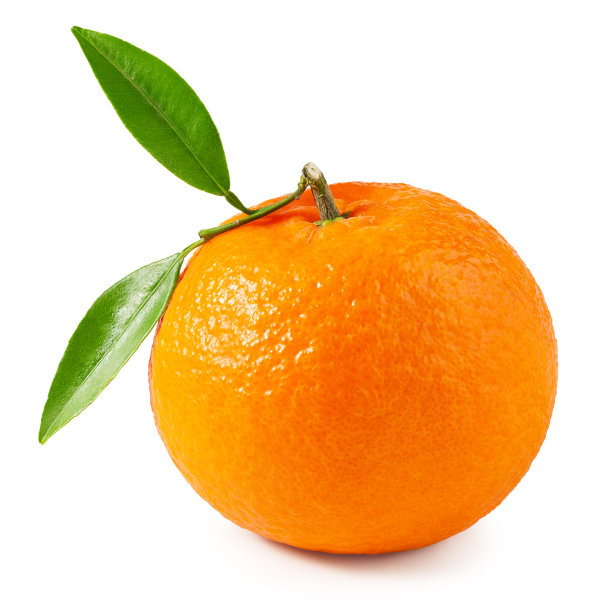 柑橘包装 