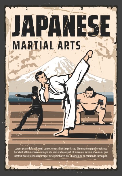 跆拳道艺术海报