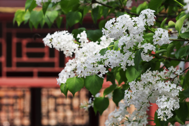 地形,户外,季节