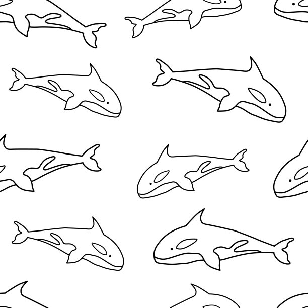 海豚矢量素材插画