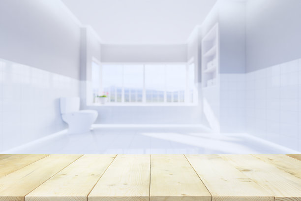 卫浴 浴室模型 室内模型