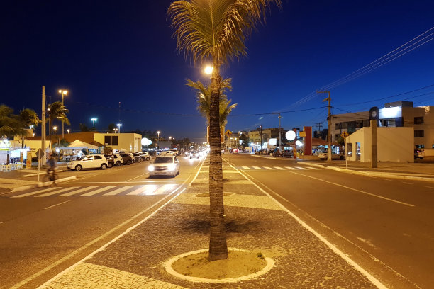 椰子树街景