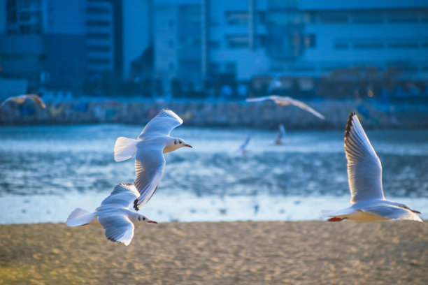 海滨城市风光名胜