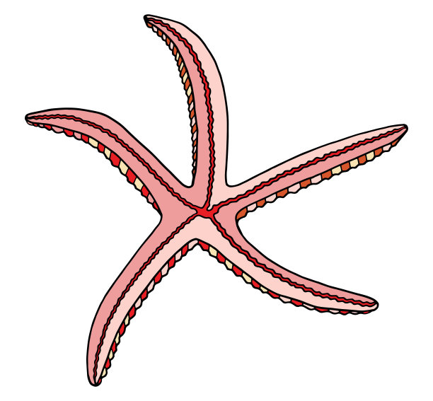 鱼logo海洋logo