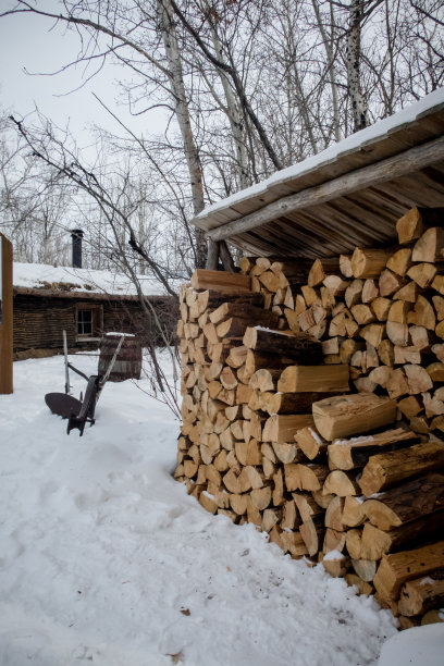雪中的木材