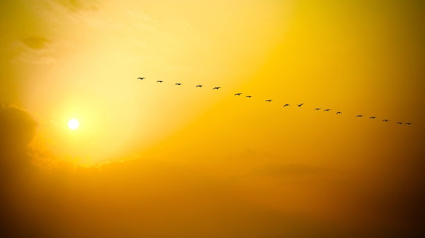 动态大气