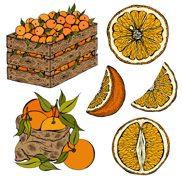 橘子柠檬水果