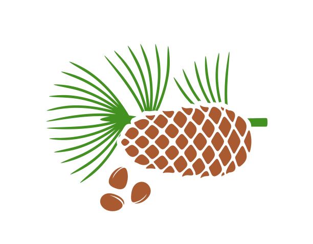 植物油logo