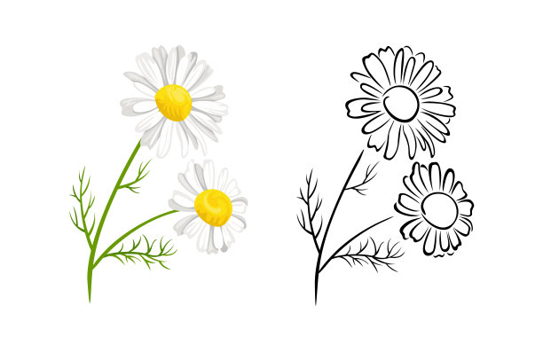 春季花卉标签