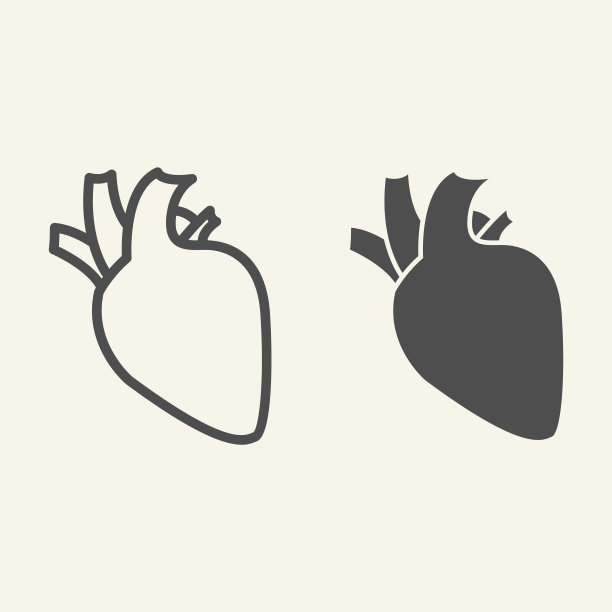 人体,人体内脏器官,人类心脏