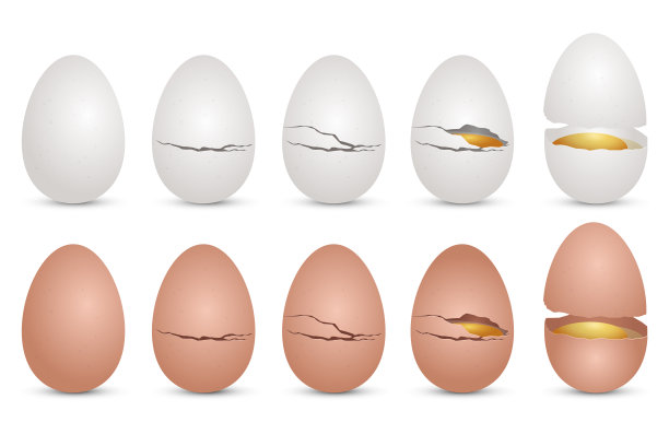 鸡蛋模板