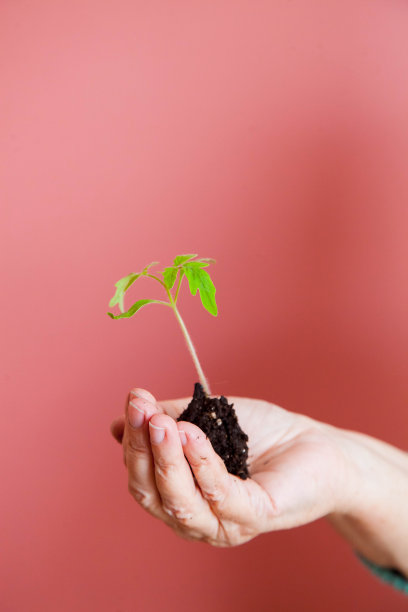 植物保护环境概念图