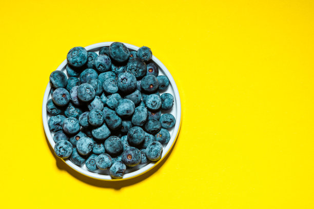 蓝莓背景蓝莓丰收