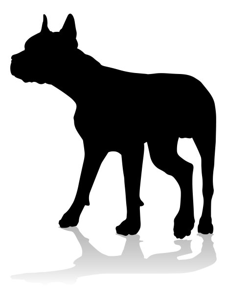 英国牛头梗犬
