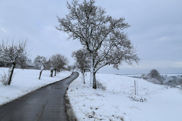 雪地行驶的卡车