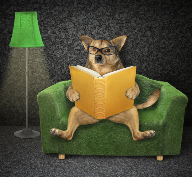 看书的狗