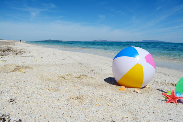 夏日沙滩上的贝壳海星