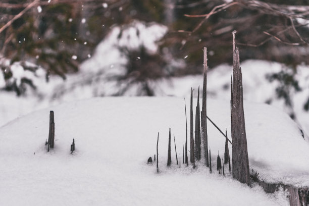 小雪清爽