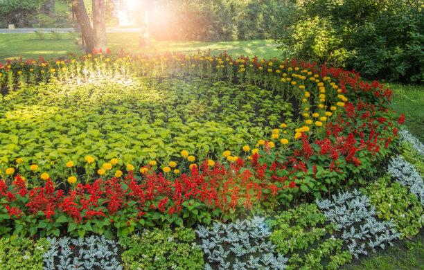 花用植物园