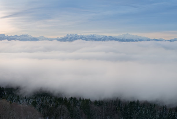 森林大自然美景4k