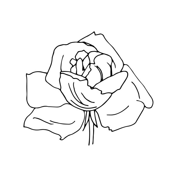 玫瑰纹身图案