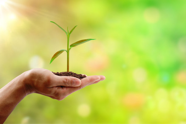 植物保护环境概念图