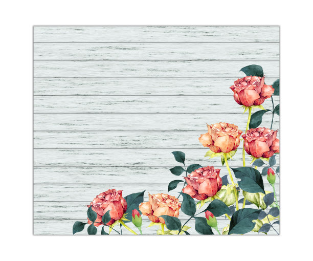 水彩玫瑰花图片