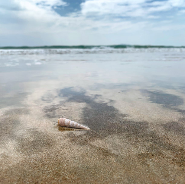 南海海滨