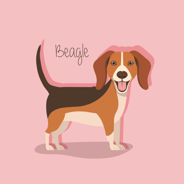 蜘蛛网比格犬图片