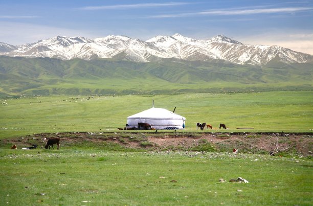 深山蒙古包