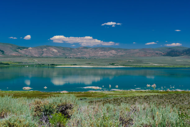 绿水青山造型