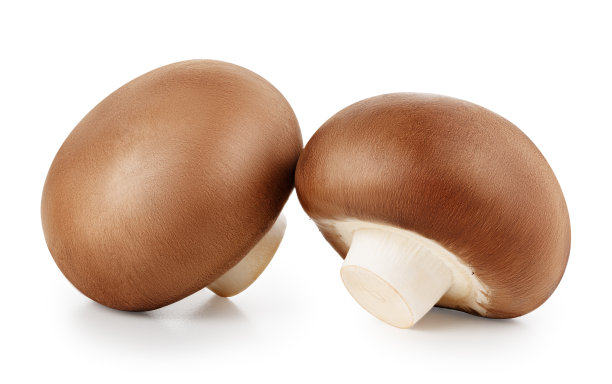 蘑菇包装